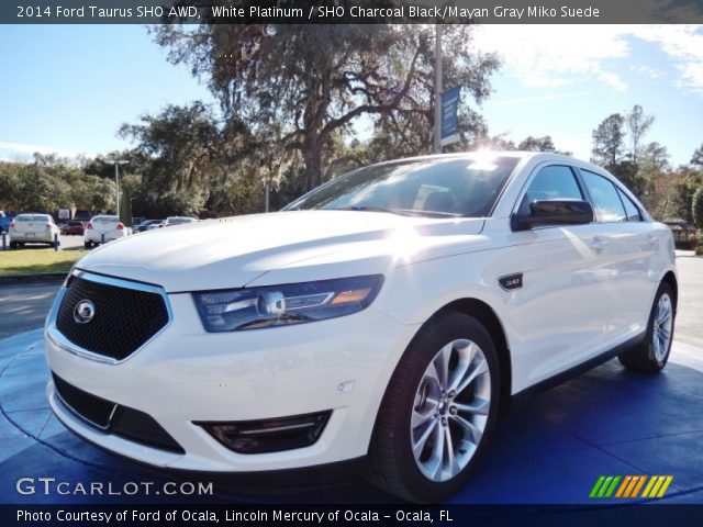 2014 Ford Taurus SHO AWD in White Platinum