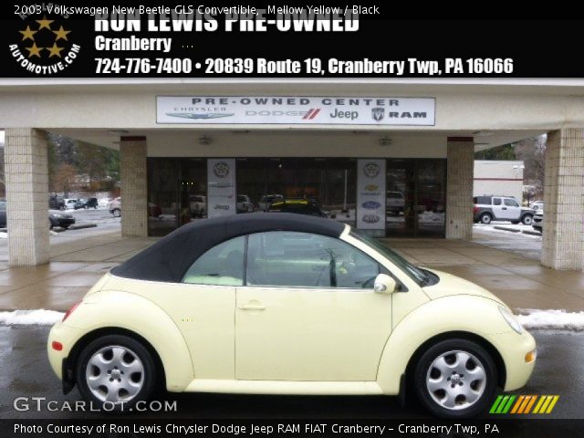 2003 Volkswagen New Beetle GLS Convertible in Mellow Yellow