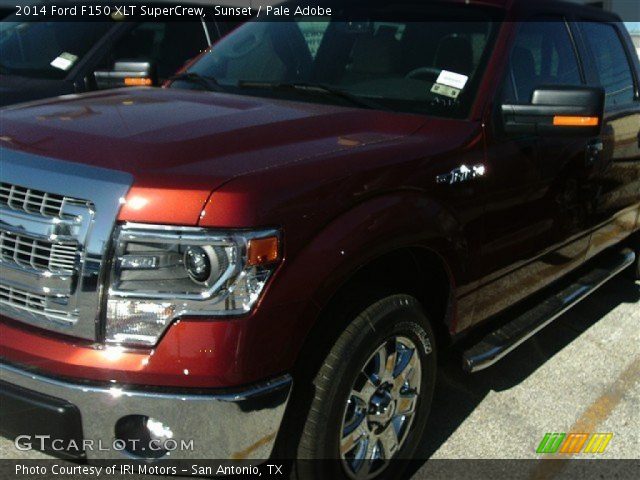 2014 Ford F150 XLT SuperCrew in Sunset