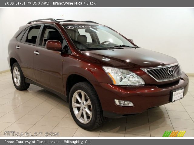 2009 Lexus RX 350 AWD in Brandywine Mica