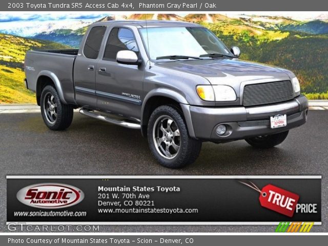 2003 Toyota Tundra SR5 Access Cab 4x4 in Phantom Gray Pearl