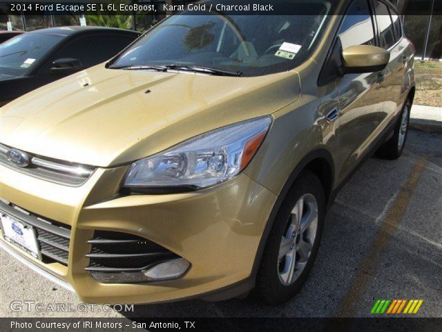 2014 Ford Escape SE 1.6L EcoBoost in Karat Gold