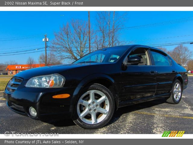 2002 Nissan Maxima SE in Super Black