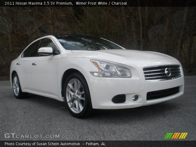 2011 Nissan Maxima 3.5 SV Premium in Winter Frost White