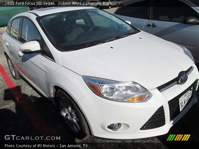 2012 Ford Focus SEL Sedan in Oxford White