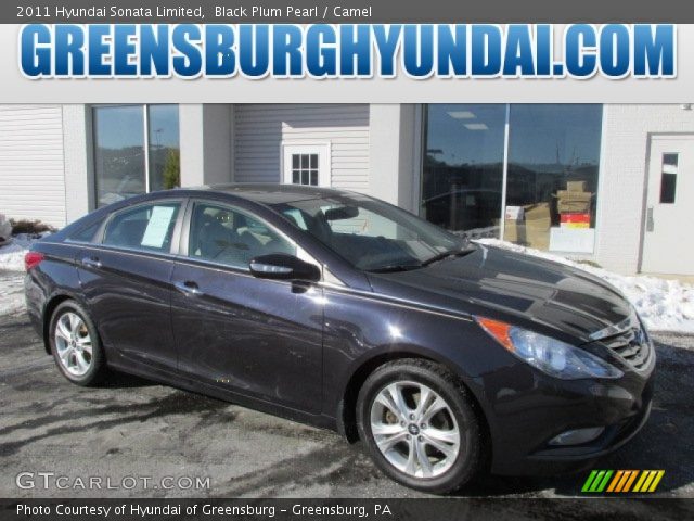 2011 Hyundai Sonata Limited in Black Plum Pearl