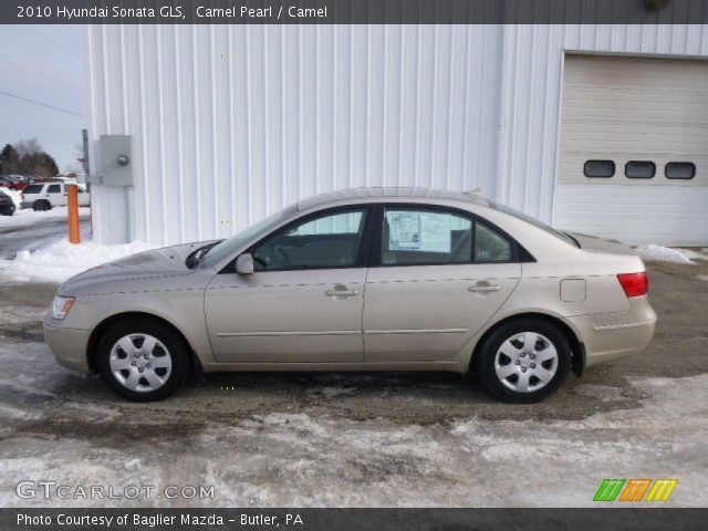 2010 Hyundai Sonata GLS in Camel Pearl