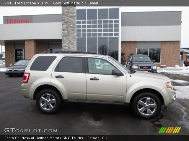 2011 Ford Escape XLT V6 in Gold Leaf Metallic