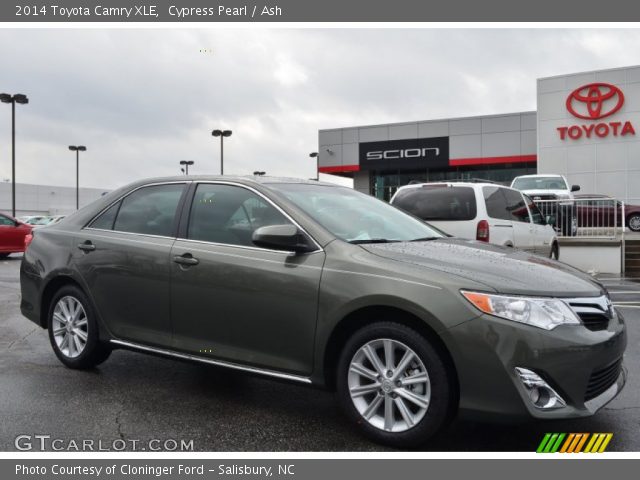 2014 Toyota Camry XLE in Cypress Pearl