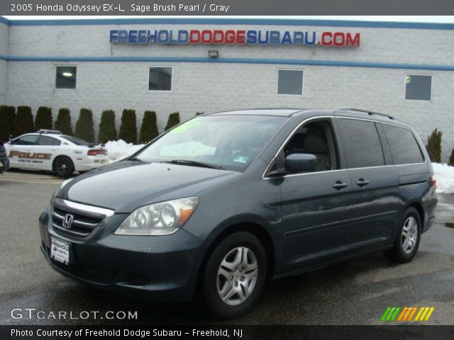 2005 Honda Odyssey EX-L in Sage Brush Pearl