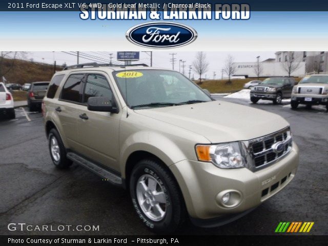 2011 Ford Escape XLT V6 4WD in Gold Leaf Metallic