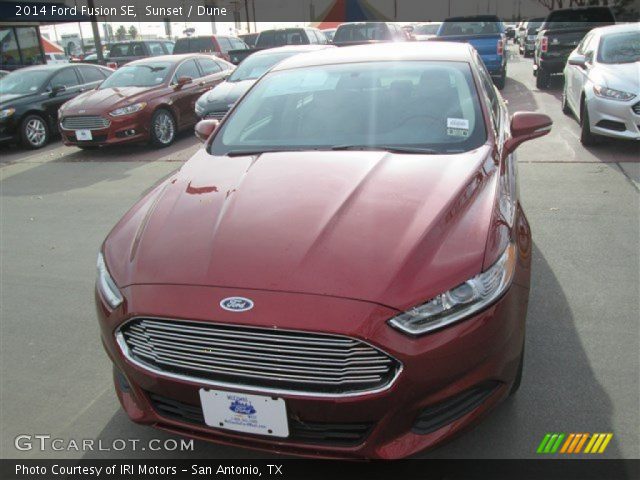 2014 Ford Fusion SE in Sunset