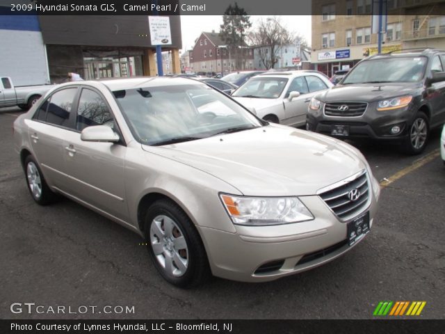 2009 Hyundai Sonata GLS in Camel Pearl