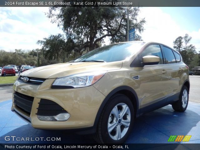 2014 Ford Escape SE 1.6L EcoBoost in Karat Gold