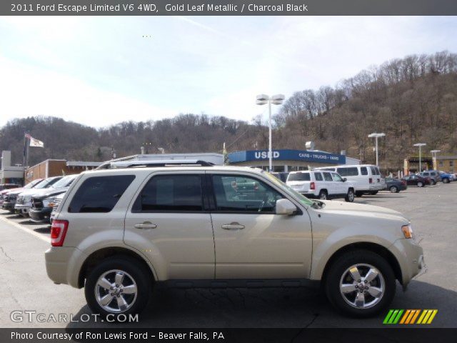 2011 Ford Escape Limited V6 4WD in Gold Leaf Metallic