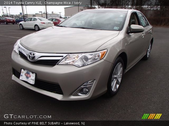 2014 Toyota Camry XLE in Champagne Mica