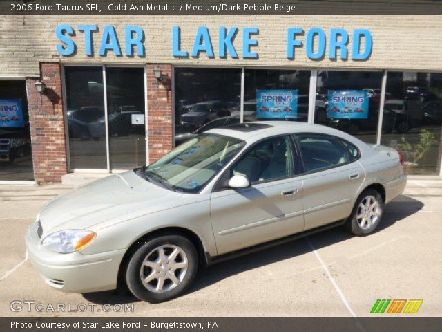 2006 Ford Taurus SEL in Gold Ash Metallic