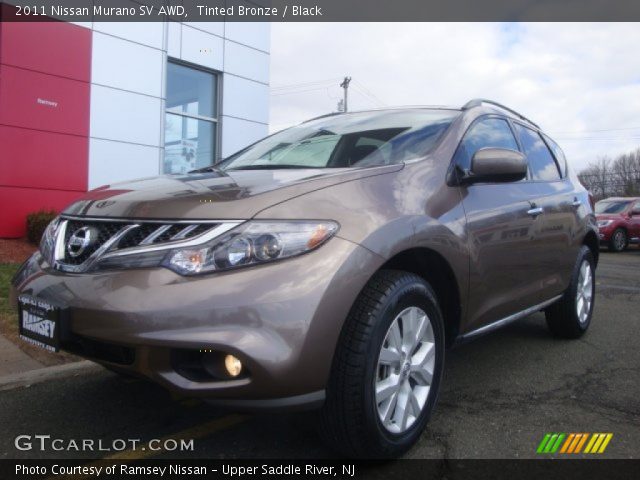 2011 Nissan Murano SV AWD in Tinted Bronze