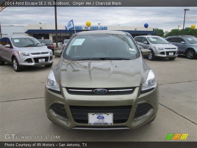 2014 Ford Escape SE 2.0L EcoBoost in Ginger Ale