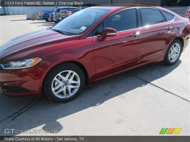 2014 Ford Fusion SE in Sunset