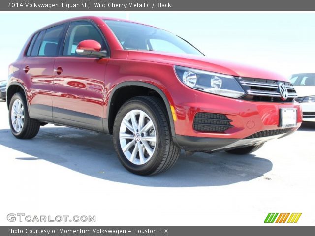 2014 Volkswagen Tiguan SE in Wild Cherry Metallic