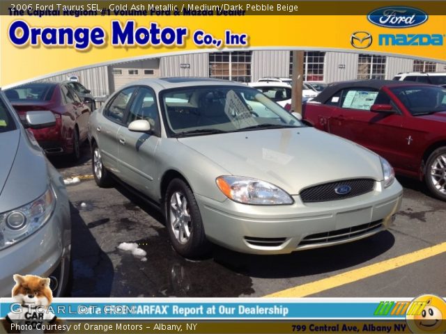 2006 Ford Taurus SEL in Gold Ash Metallic