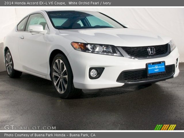 2014 Honda Accord EX-L V6 Coupe in White Orchid Pearl