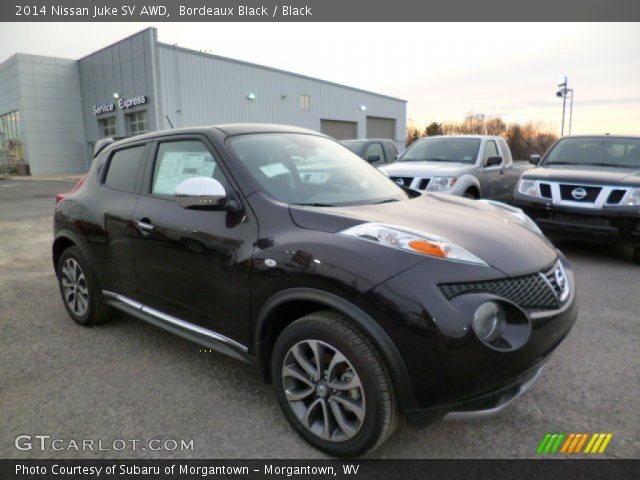 2014 Nissan Juke SV AWD in Bordeaux Black