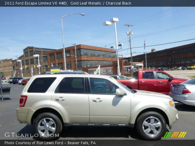 2011 Ford Escape Limited V6 4WD in Gold Leaf Metallic
