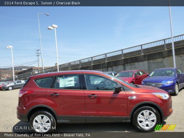 2014 Ford Escape S in Sunset