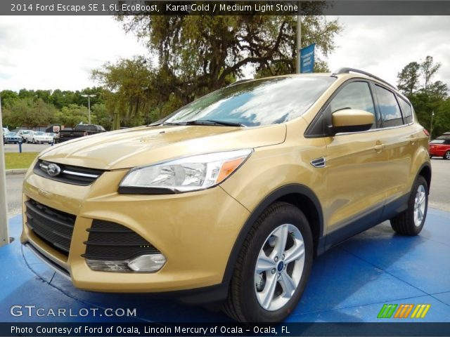 2014 Ford Escape SE 1.6L EcoBoost in Karat Gold