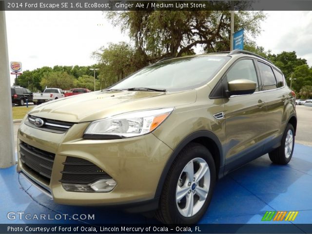 2014 Ford Escape SE 1.6L EcoBoost in Ginger Ale
