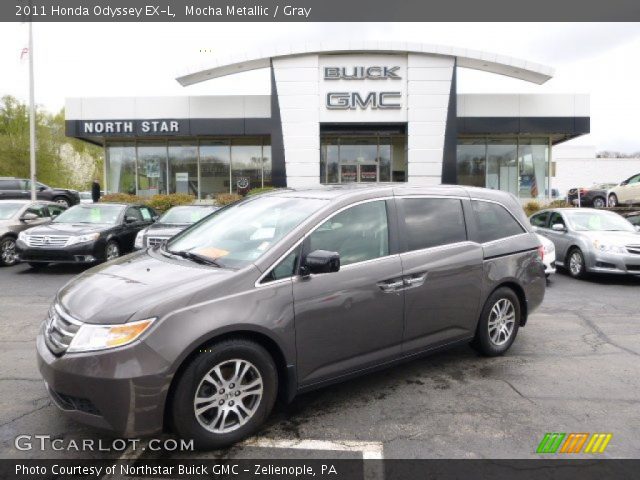 2011 Honda Odyssey EX-L in Mocha Metallic