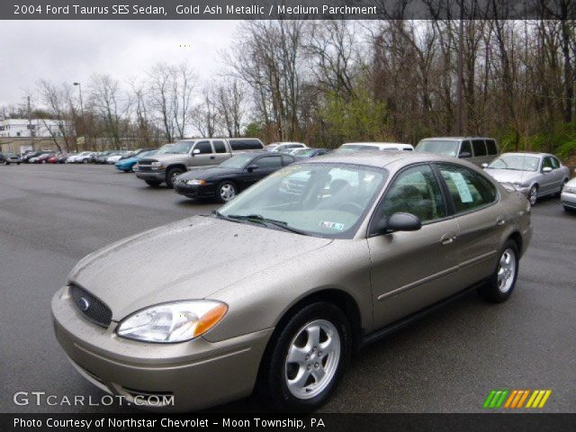2004 Ford Taurus SES Sedan in Gold Ash Metallic