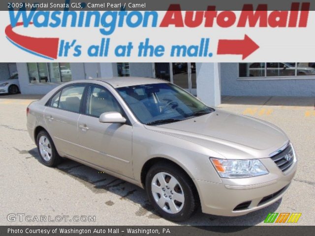2009 Hyundai Sonata GLS in Camel Pearl