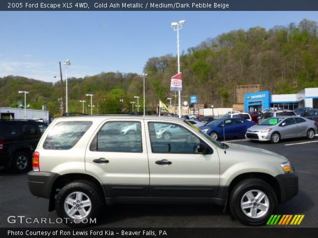 2005 Ford Escape XLS 4WD in Gold Ash Metallic