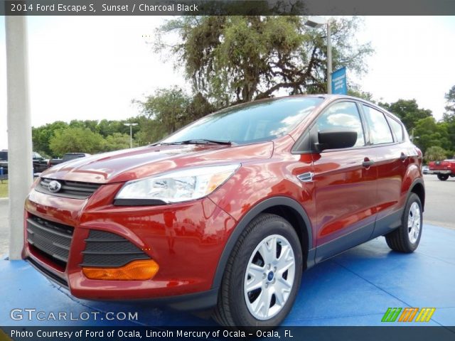 2014 Ford Escape S in Sunset