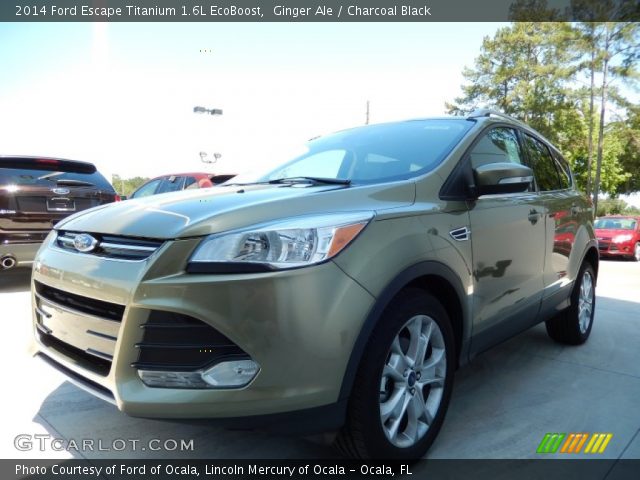2014 Ford Escape Titanium 1.6L EcoBoost in Ginger Ale