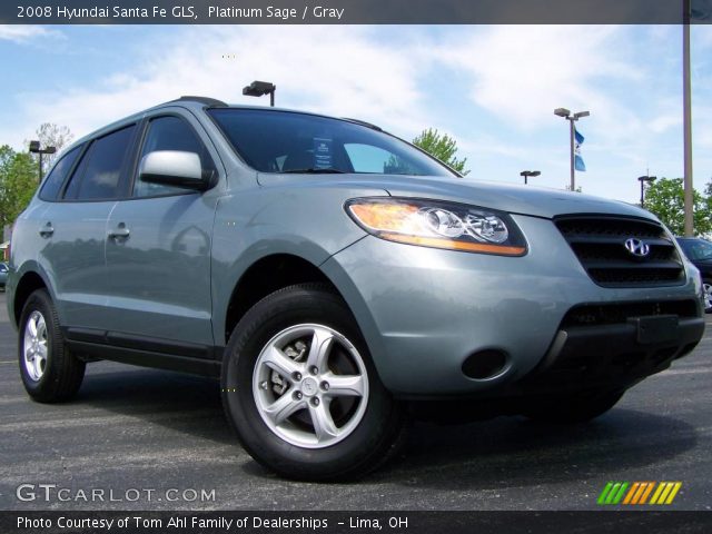 2008 Hyundai Santa Fe GLS in Platinum Sage