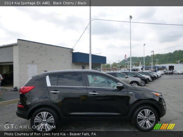 2014 Kia Sportage EX AWD in Black Cherry