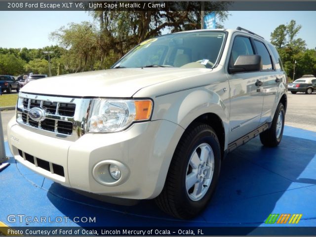 2008 Ford Escape XLT V6 in Light Sage Metallic