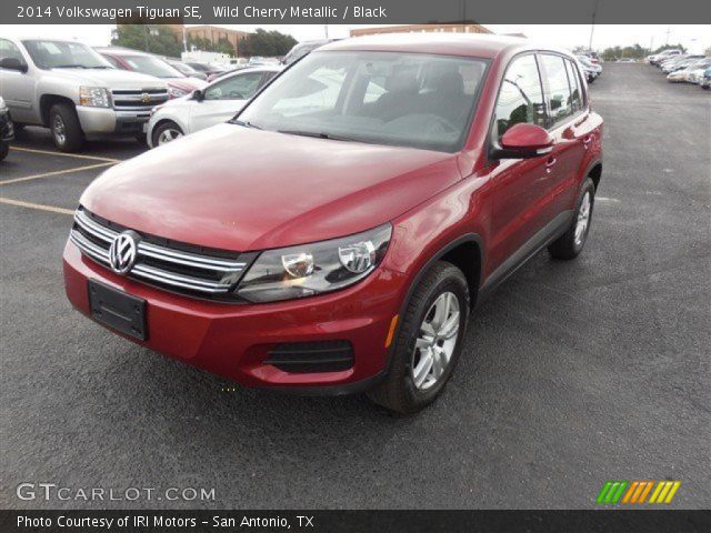 2014 Volkswagen Tiguan SE in Wild Cherry Metallic