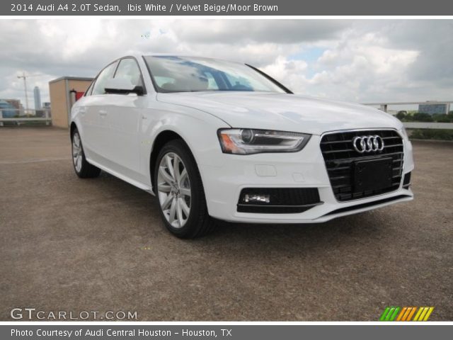2014 Audi A4 2.0T Sedan in Ibis White