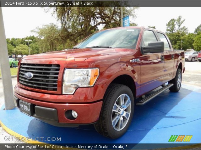 2014 Ford F150 STX SuperCrew in Sunset