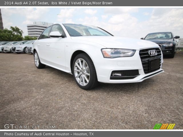 2014 Audi A4 2.0T Sedan in Ibis White