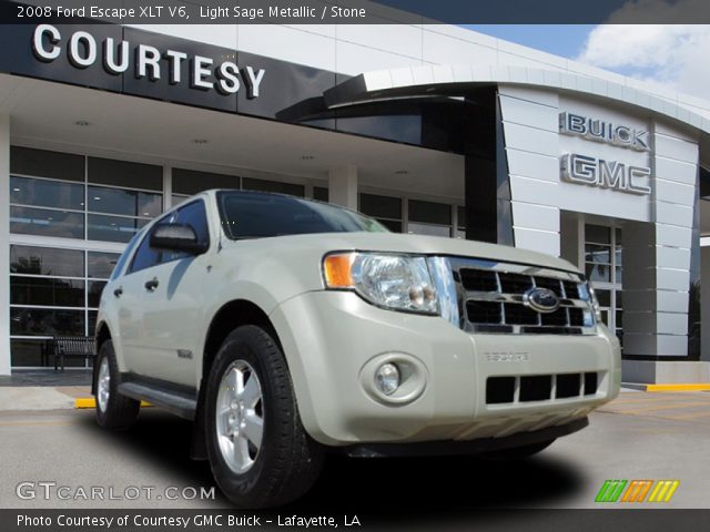 2008 Ford Escape XLT V6 in Light Sage Metallic