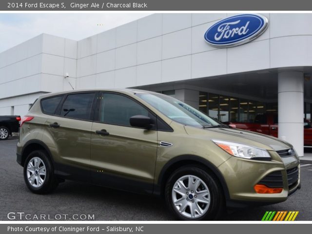 2014 Ford Escape S in Ginger Ale
