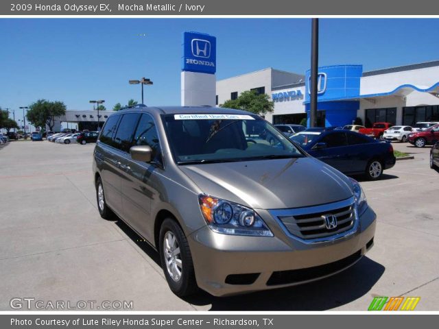 2009 Honda Odyssey EX in Mocha Metallic