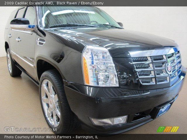 2009 Cadillac Escalade AWD in Black Raven