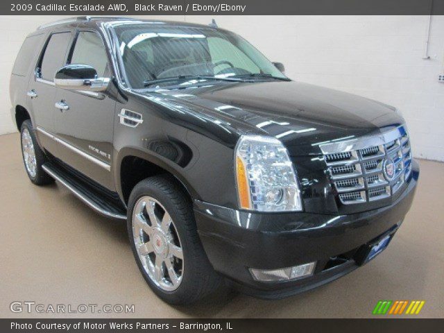 2009 Cadillac Escalade AWD in Black Raven